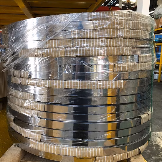 Stainless Steel Belt ASTM Ss 304 316 Stainless Steel Strips Stainless Steel Belt stainless steel coil